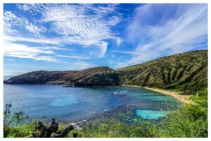 Pradise Beneath the Waves